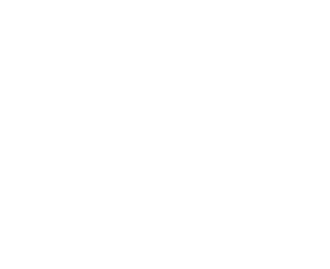 Main Logo Transparent Light